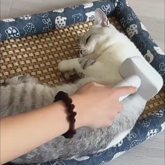 Peine Profesional Desenredante para Mascotas - Herramienta de Aseo 3 en 1 para Perros y Gatos